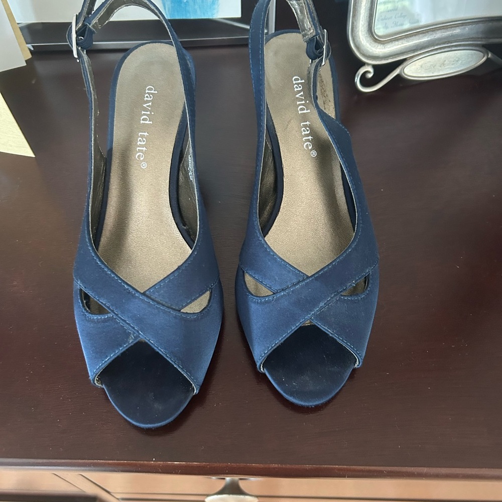 David Tate Blue Suede Heels with Crisscross Design